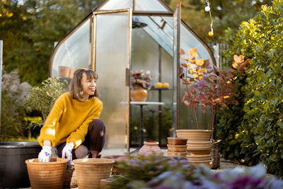 Donna sorridente con maglione giallo mentre prepara vasi di terracotta in giardino, davanti a una serra, durante i lavori di cura delle piante in autunno