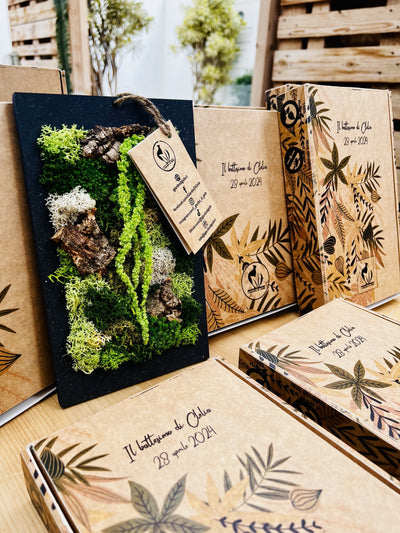 Immagine di quadri di verde stabilizzatoi con packaging in cartone con grafica
