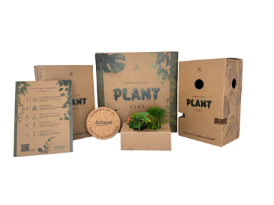 Set di scatole personalizzate che contengono un kit terrarium fai da te .