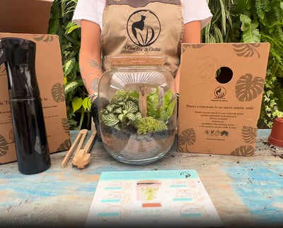 Terrarium di piante verdi accanto alla confezione del kit fai da te, con una donna in grembiule dietro un tavolo