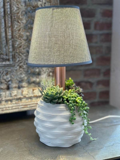 Lampada da tavolo con base in ceramica bianca e piante grasse decorative