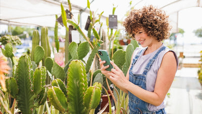 Donna sorridente con smartphone tra piante grasse in vivaio