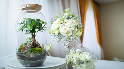 Terrarium dei Giardini di Giulia per matrimonio