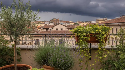 Allarme temporale estremo su terrazzo con piante da proteggere
