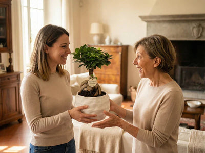 Figlia regala bonsai ficus ginseng I Giardini di Giulia alla mamma per la Festa della Mamma