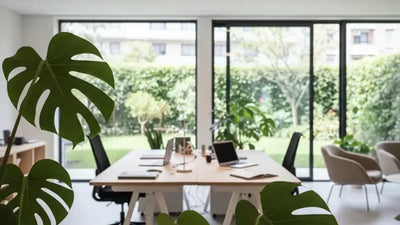 Piante in ufficio moderno per design biofilico e benessere