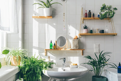 Bagno luminoso con piante verdi e mensole in legno, decorato in stile naturale e accogliente.