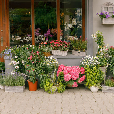 Rendi il Tuo Balcone e Terrazzo un'Oasi Verde con le Piante Giuste e Vasi di Qualità - i Giardini di Giulia