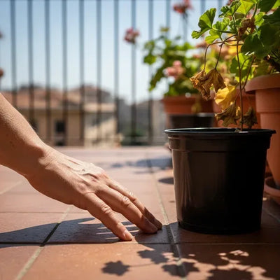 Vaso di plastica su pavimento bollente esposto al sole, radici a rischio