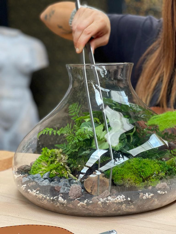 Terrarium in vetro con piccole piante verdi, composto con un kit fai da te