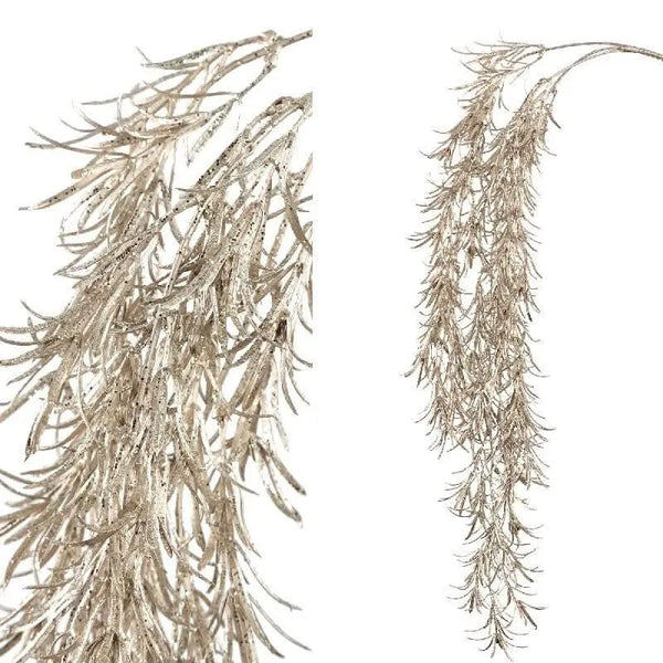 Feuilles Plante champagne podocarpus spray
