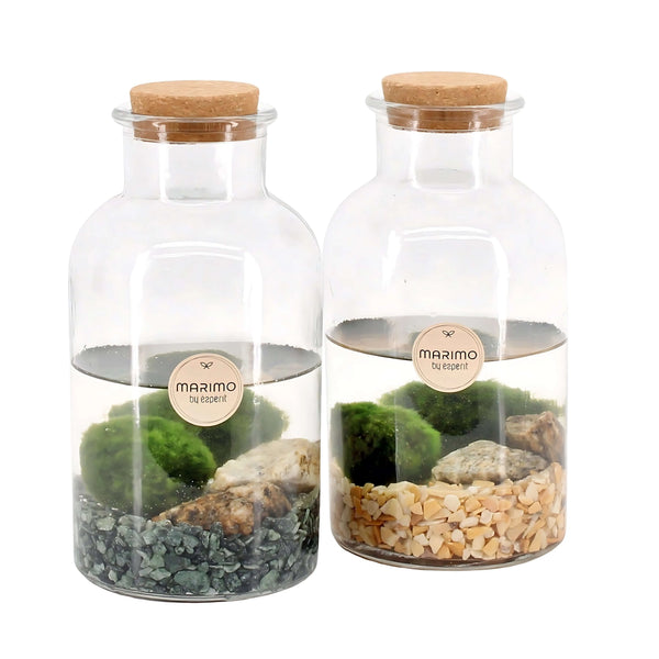 Arr. water plants Marimo 90527