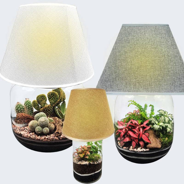 Tre lampade con base in vetro contenente terrarium di piante e cactus decorativi da interno.