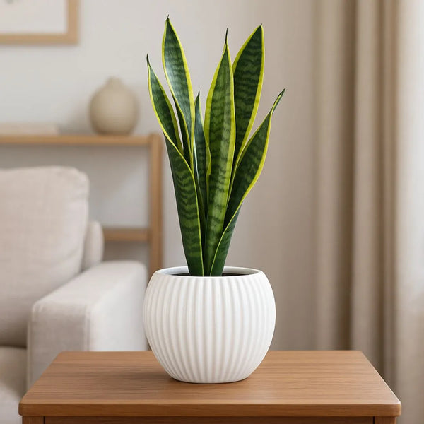 Vaso "Sfera" in ceramica bianca lucida rigato D.13 H.14 cm