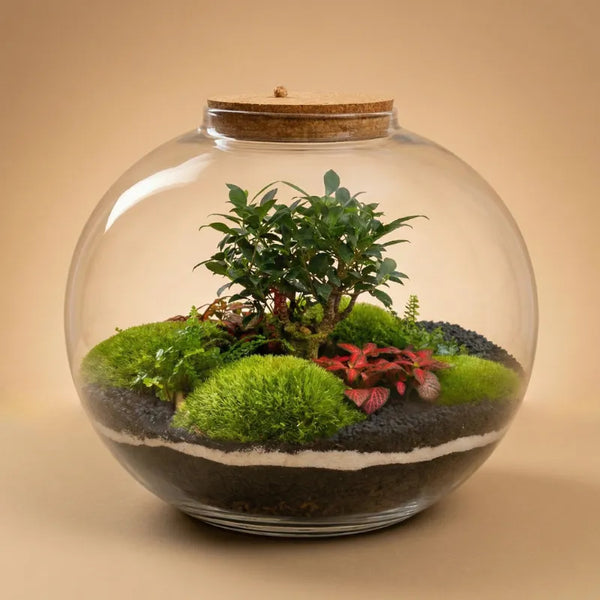 Terrarium Queen XXL avec plantes vertes