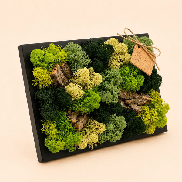 Cadre Mini en Mousse et Lichens Stabilisés 14,5x24,5 cm – Cadre Noir | Fabriqué en Italie