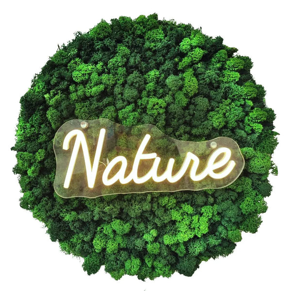 Quadro Tondo di Licheni Stabilizzati con Luce LED "Nature" – Diametro 45 cm