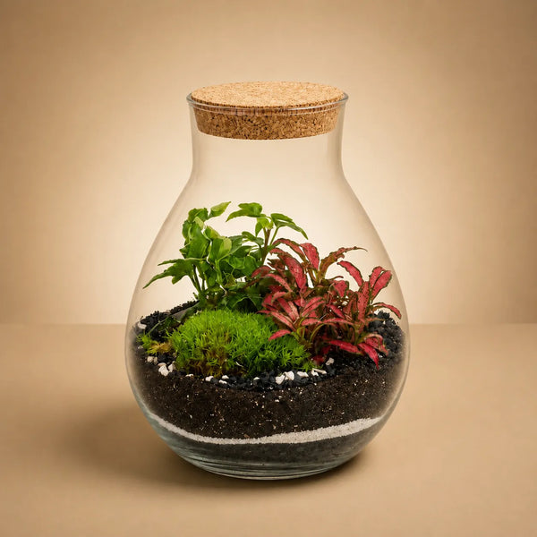 Terrario interior con plantas verdes