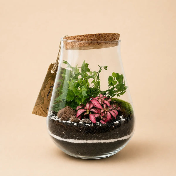 Terrarium Teo avec plantes vertes
