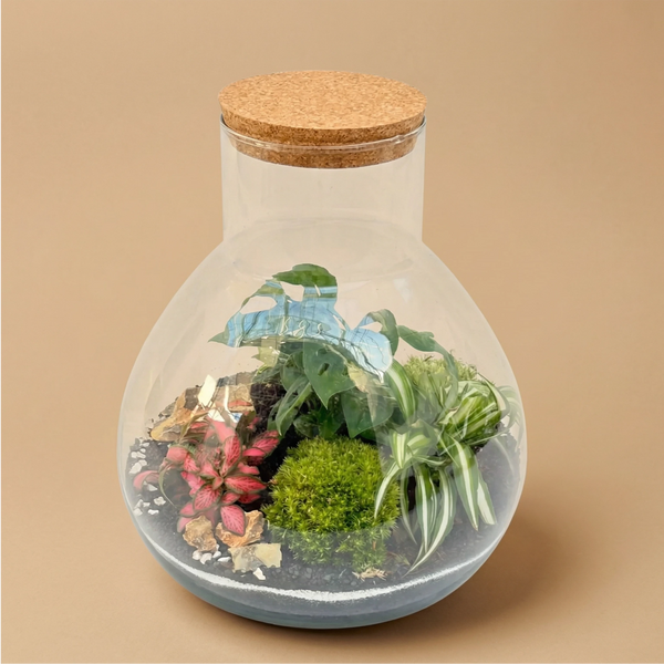 Terrarium Eli con piante verdi