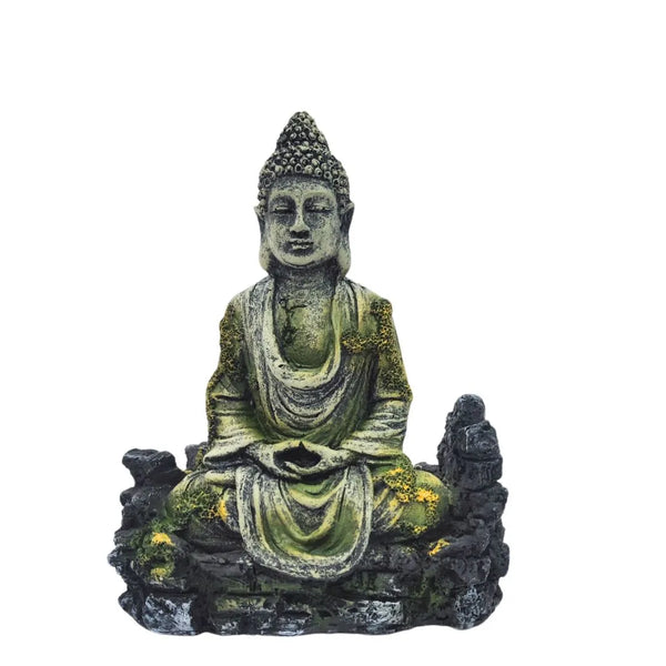 Buda in resina