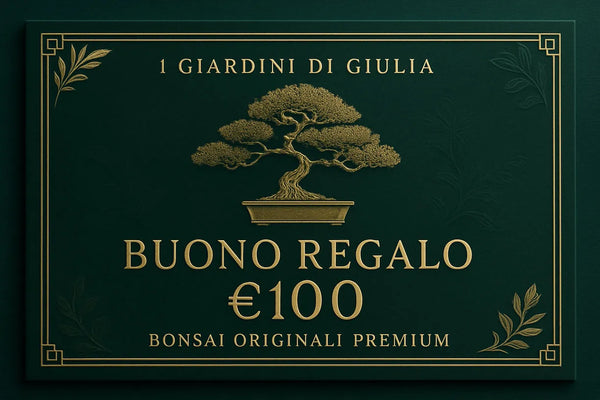 Buono Regalo Bonsai Originali Premium | Collezione Esclusiva I Giardini di Giulia