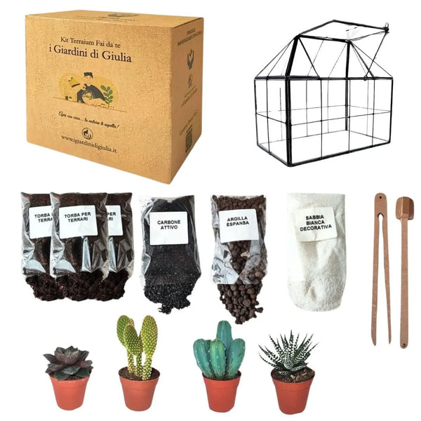 Kit de terrarium géométrique à faire soi-même avec plantes succulentes