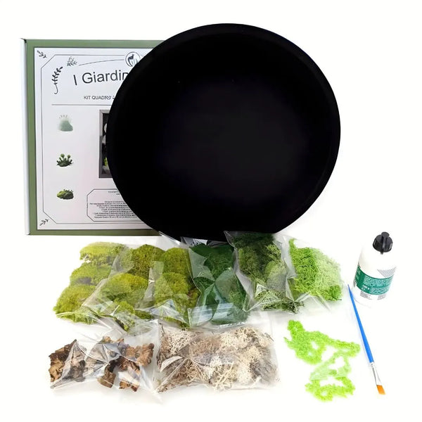 Kit vert stabilisé, cadre rond diamètre 30 cm.
