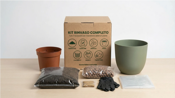 Kit Rinvaso completo per Piante da Interno con Coprivaso – Ø15 cm