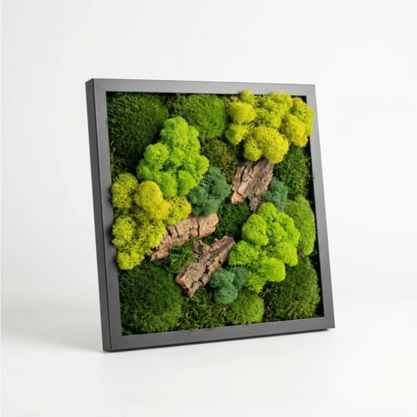 Quadro di Muschio e Licheni Stabilizzati 30x30 cm