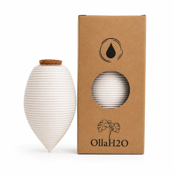 Terracotta Olla, Plant Irrigation