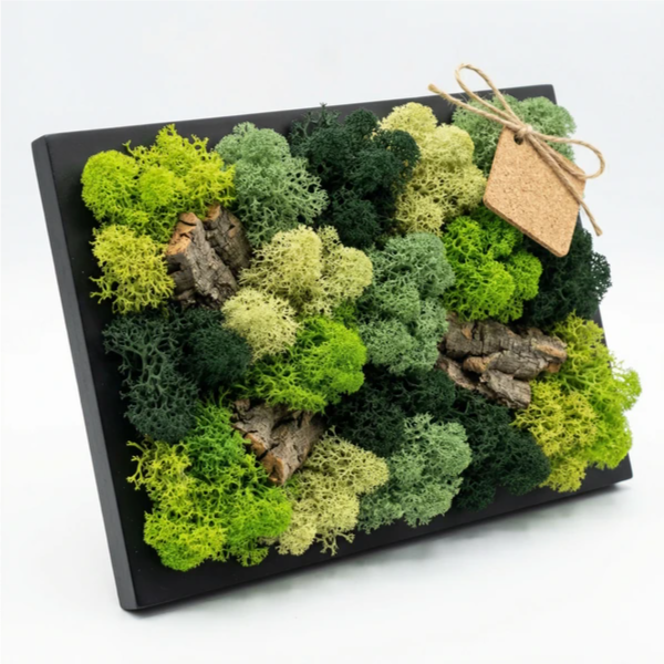 Quadro Mini in Muschio e Licheni Stabilizzati 14,5x24,5 cm – Cornice Nera | Made in Italy