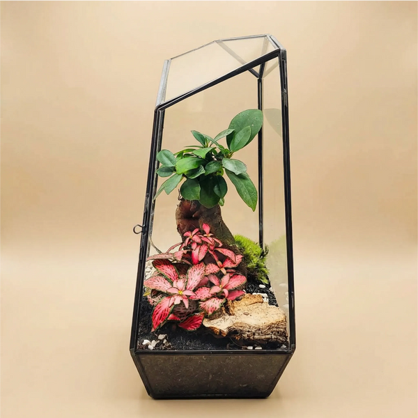 Terrarium Diamant 068V
