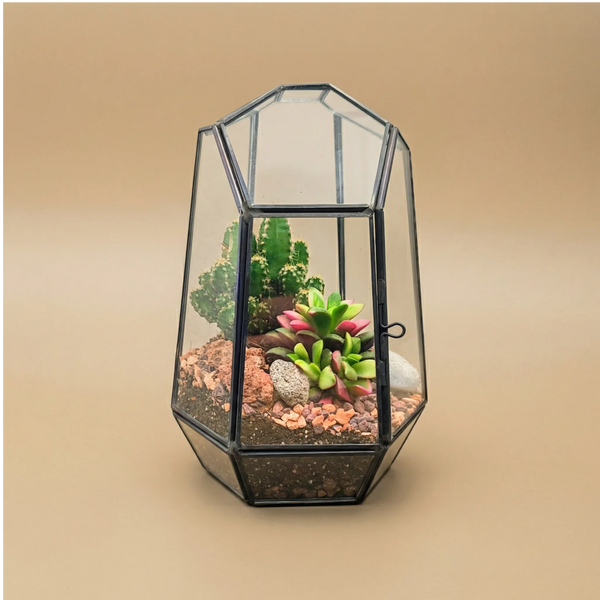Terrarium géométrique Emma avec plantes succulentes
