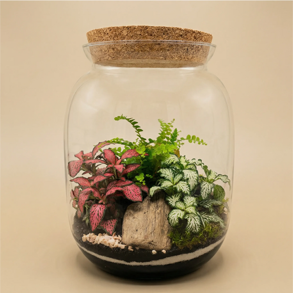 Terrarium Jardin Secret 049