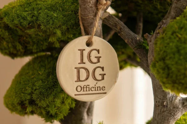 Dettaglio etichetta in cercamica su Bonsai Stabilizzato