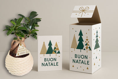 Bonsai come idea regalo aziendale per Natale