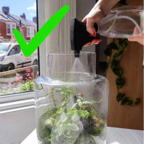 Comment mesurer l'humidité dans votre terrarium