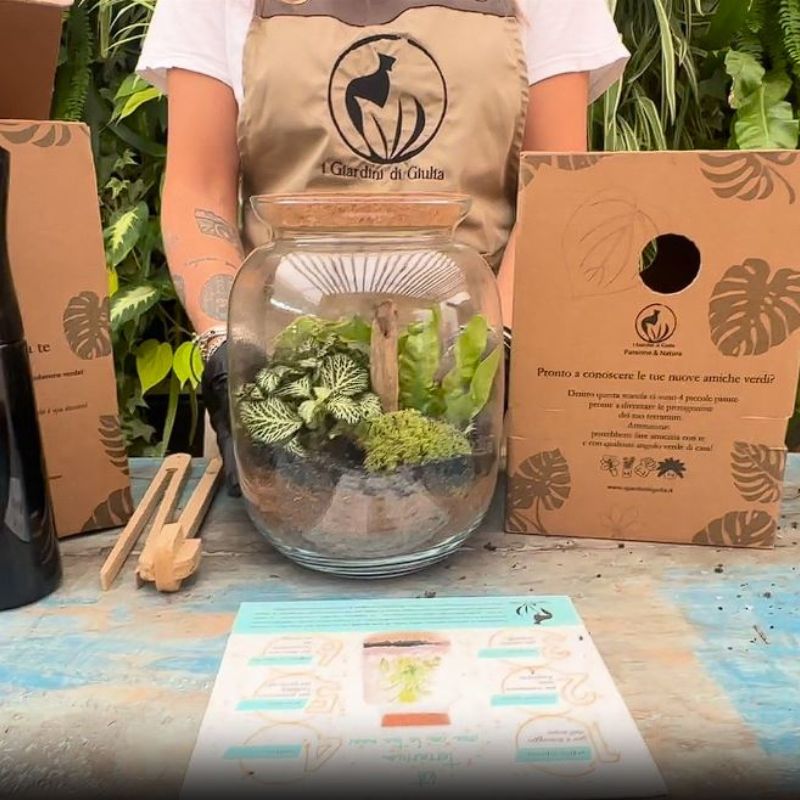 DIY Terrarium Kit: The Art of Creative Well-being That Transforms Your Moments