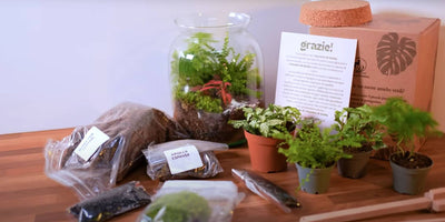 Svela il Tuo Universo Verde Interiore: L'Arte Magica dei Kit Terrarium Fai da Te de I Giardini di Giulia