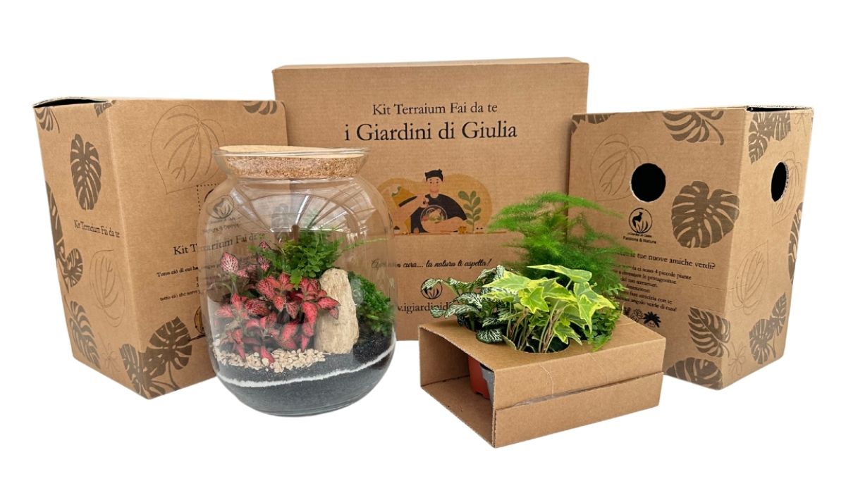 Terrarium Fai Da Te: La Guida Completa (2026)