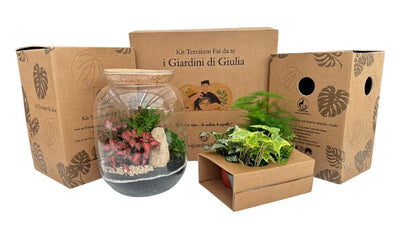 Terrarium DIY : Le guide complet (2026)