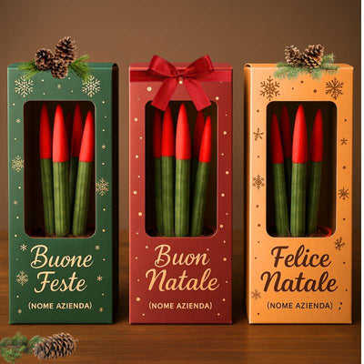 Sansevieria rossa come regalo aziendale di Natale