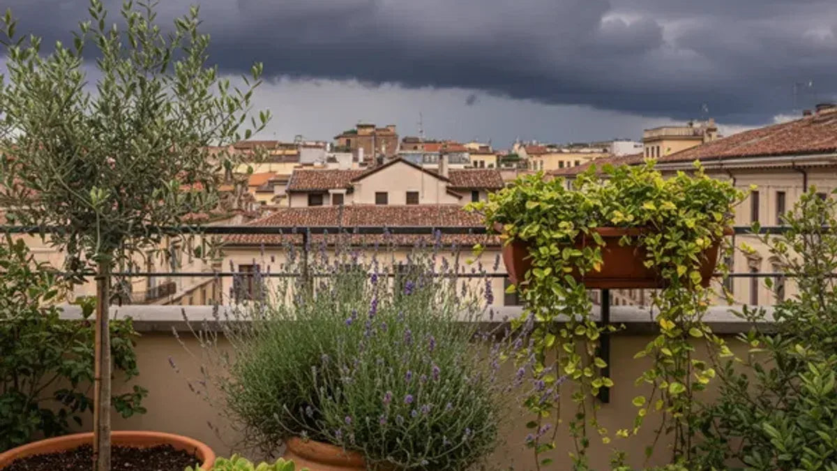 Allarme temporale estremo: come proteggere piante di terrazzo, giardino e veranda (e cosa fare dopo)