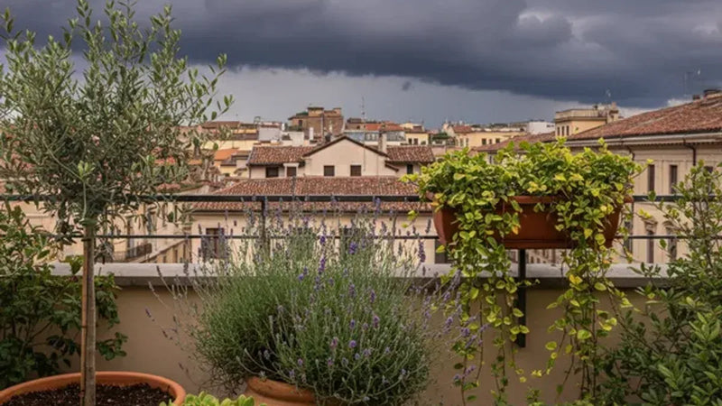 Allarme temporale estremo su terrazzo con piante da proteggere