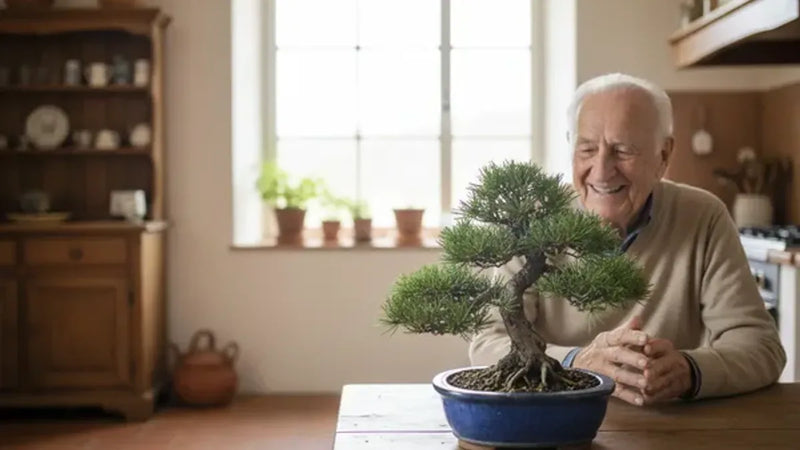 Bonsai regalo Festa dei Nonni collezione — I Giardini di Giulia