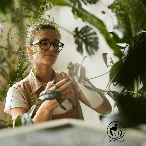 Guía para el cuidado de las plantas en la oficina: tu verde en un ambiente de trabajo