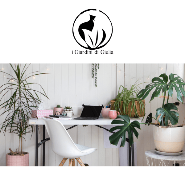 Plants That Improve Your Work-From-Home Productivity