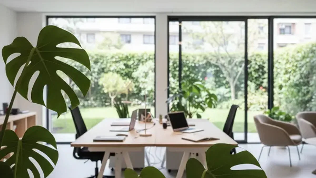 Piante negli ambienti di lavoro: perché contano davvero e come scegliere quelle giuste