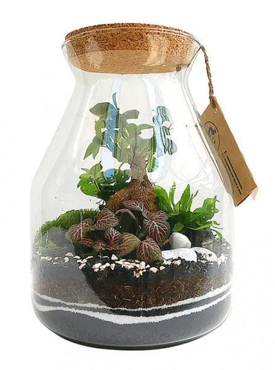 "Verde in Vetro: L'Arte del Terrarium Perfetto con 'I Giardini di Giulia'"